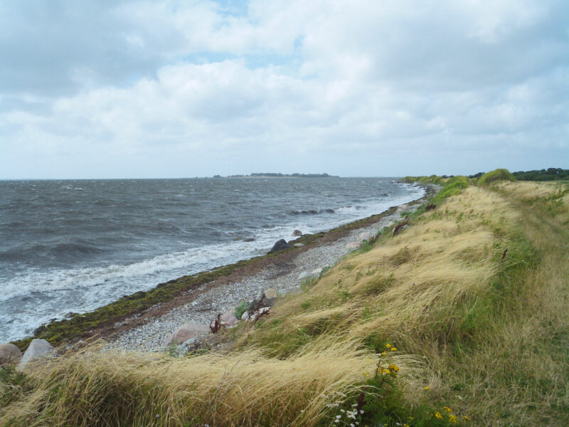 Waves crash against a rocky shoreline under a cloudy sky, with tall grass lining the beach.