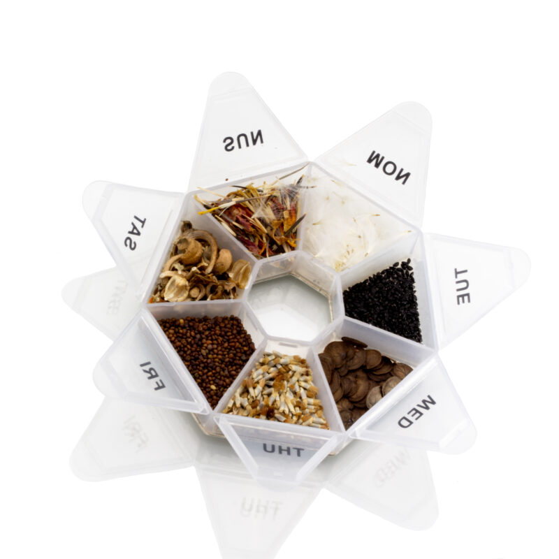 Brooch made of recycled sterling silver, plastic cases, and various seeds, arranged in a star-shaped container.