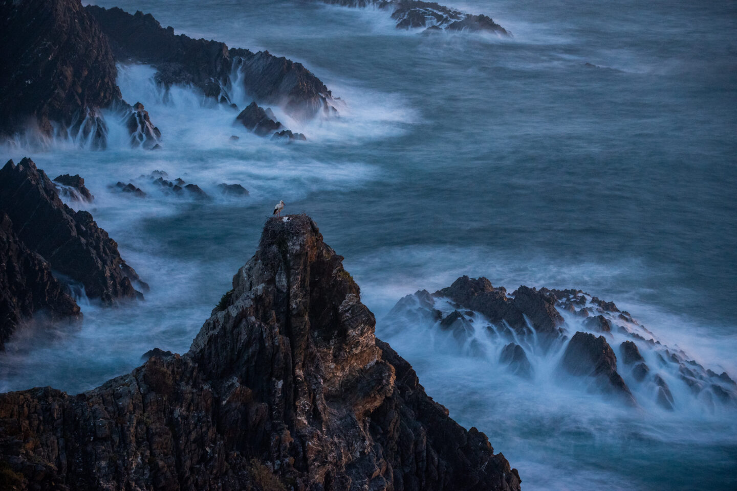 A solitary bird perched on a rocky outcrop, overlooking crashing waves at Parque Natural do Sudoeste Alentejano.