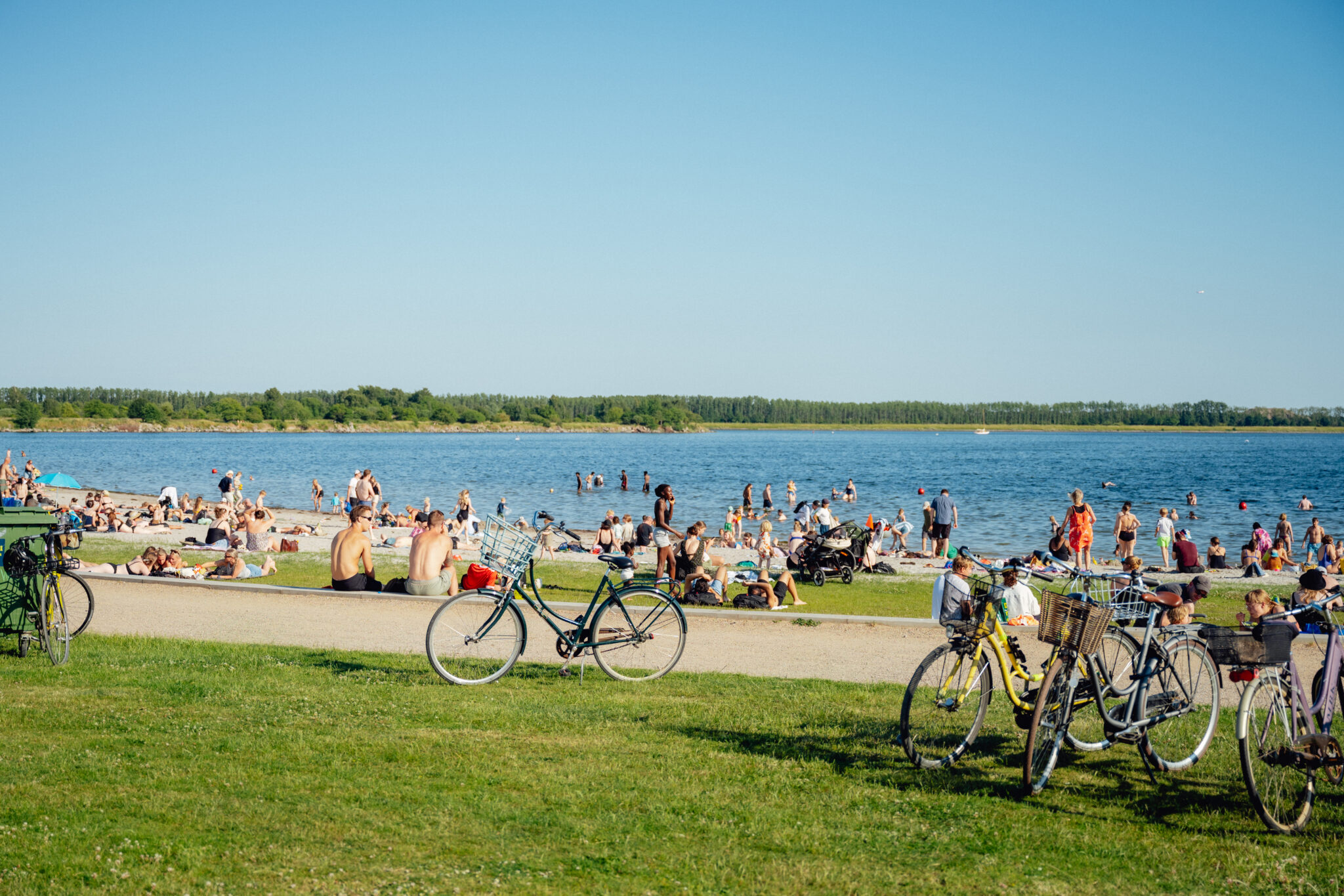 Sunny day at Valbyparken, Copenhagen, with people enjoying the waterfront and bicycles parked nearby.
