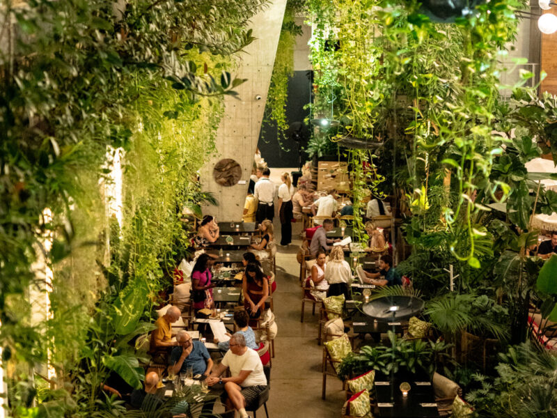 Lively indoor restaurant filled with greenery, featuring patrons dining at tables under soft lighting.