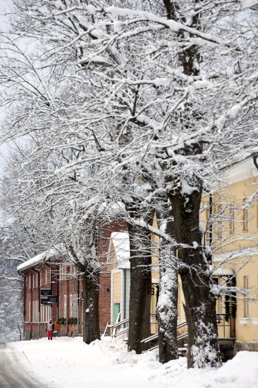Snow-covered trees line a street in Fiskars village, with historic buildings partially visible in the background.