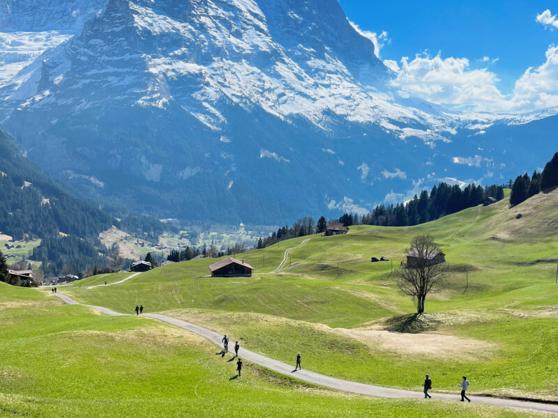 Hikers walking along a winding path in a lush green valley, with snow-capped mountains in the background.