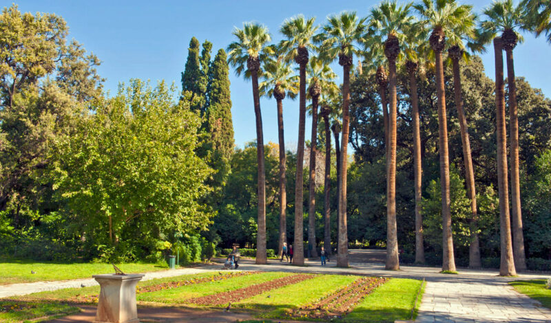 Morning scene in Athens National Garden featuring tall palm trees, organized paths, and lush greenery.