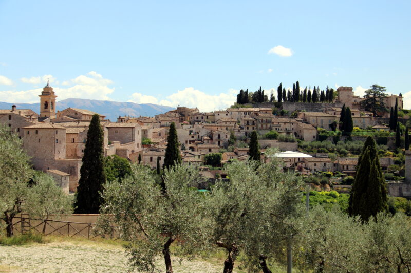 Panoramic view of Spello, Italy, featuring olive trees, historic buildings, and a clear blue sky.