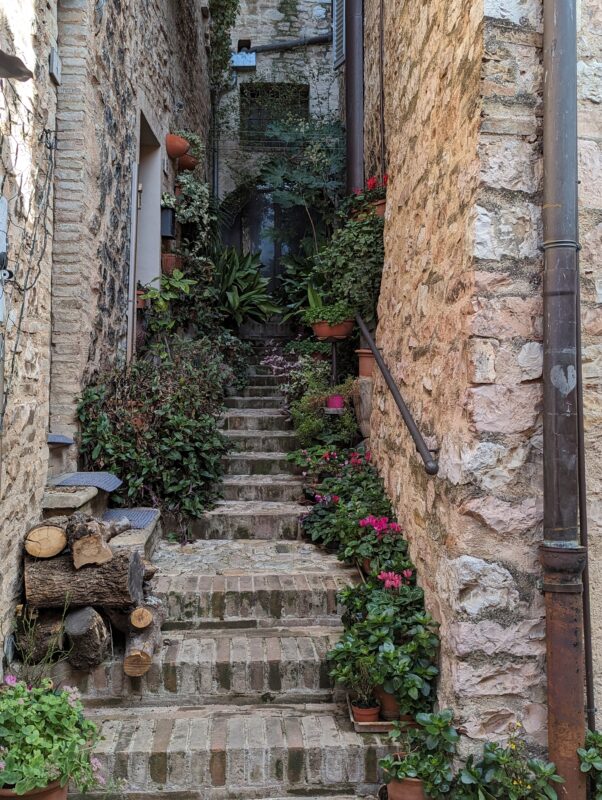 Narrow stone alley in Spello, winter 2024, lined with potted plants and steps leading up to a lush garden.