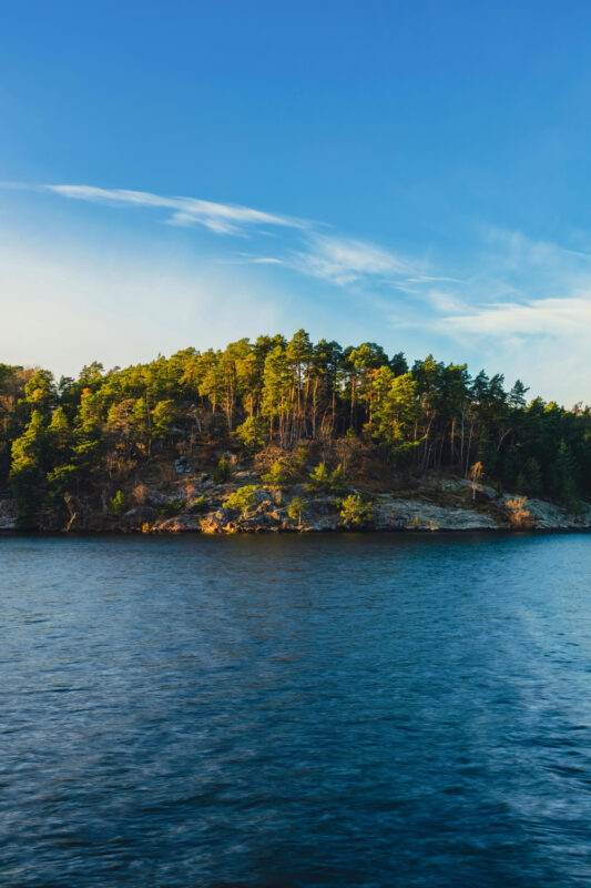 Lush green island with trees under a clear blue sky, surrounded by calm water.