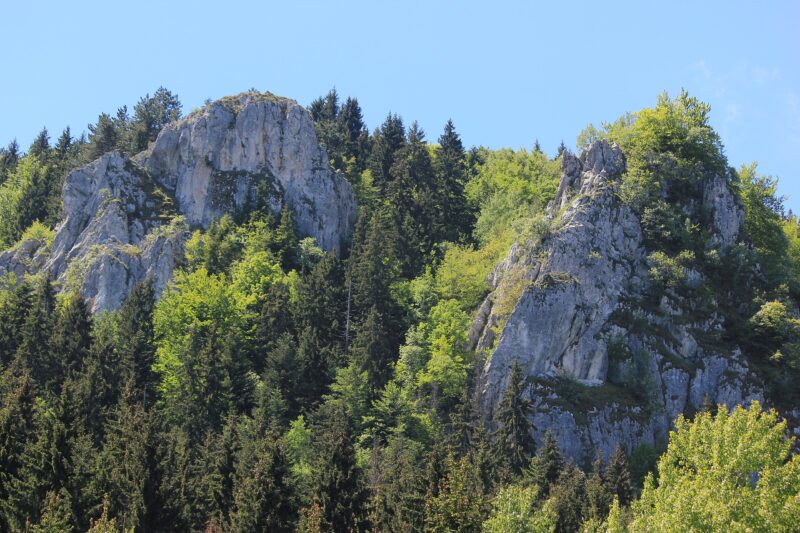 Green cliffs of Trebević mountain surrounded by dense forest under a clear blue sky.
