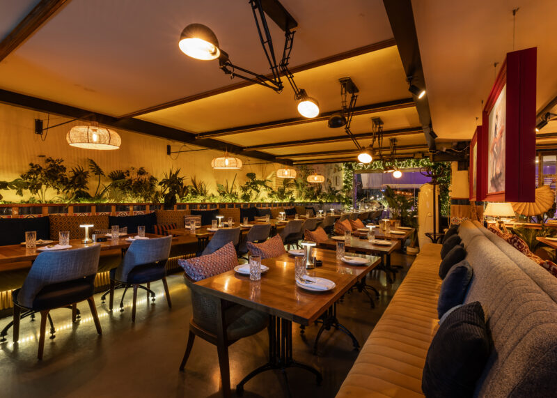 Interior of Toro Latin GastroBar featuring wooden tables, blue chairs, and plants, creating a warm, inviting atmosphere.