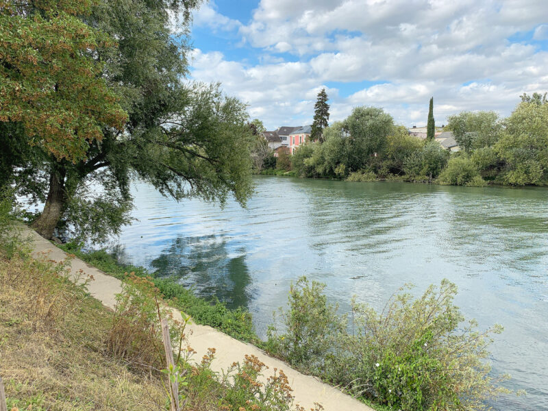 Serene view of the Marne River near Quai Champagne, Le Perreux-sur-Marne, with trees and cloudy sky.