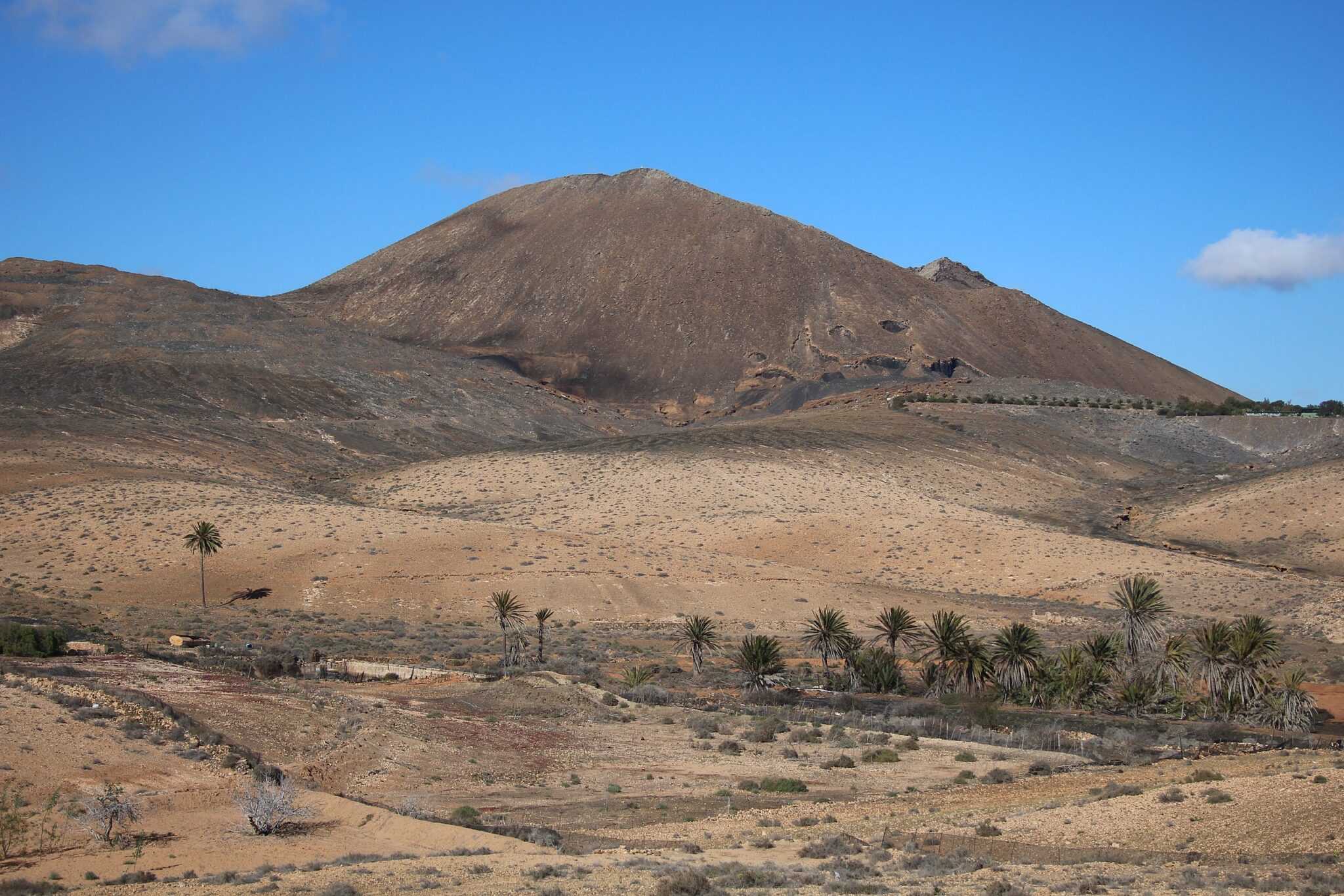Volcán de la Arena rises majestically over a desert landscape, dotted with palm trees under a clear blue sky.
