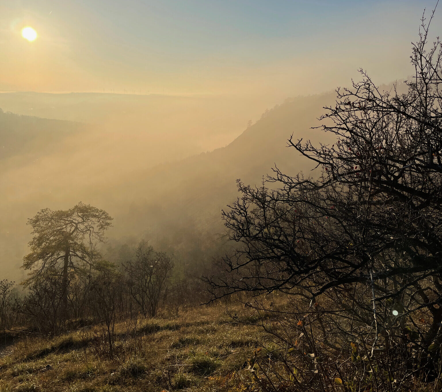 Foggy landscape of Kunitz valley with a low sun, silhouetted trees, and a hazy atmosphere.