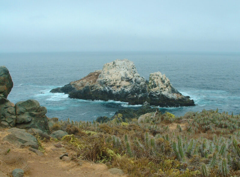 Rocky island surrounded by ocean waves, with coastal vegetation in the foreground, depicting Isla de Lobos, Los Molles.