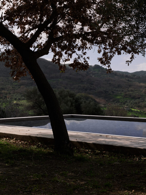 Panoramic view of an infinity pool framed by a tree, overlooking green hills under a cloudy sky.