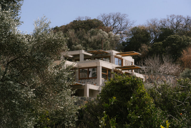 Meraki Studios hidden behind old trees, showcasing a modern architectural design amidst greenery.