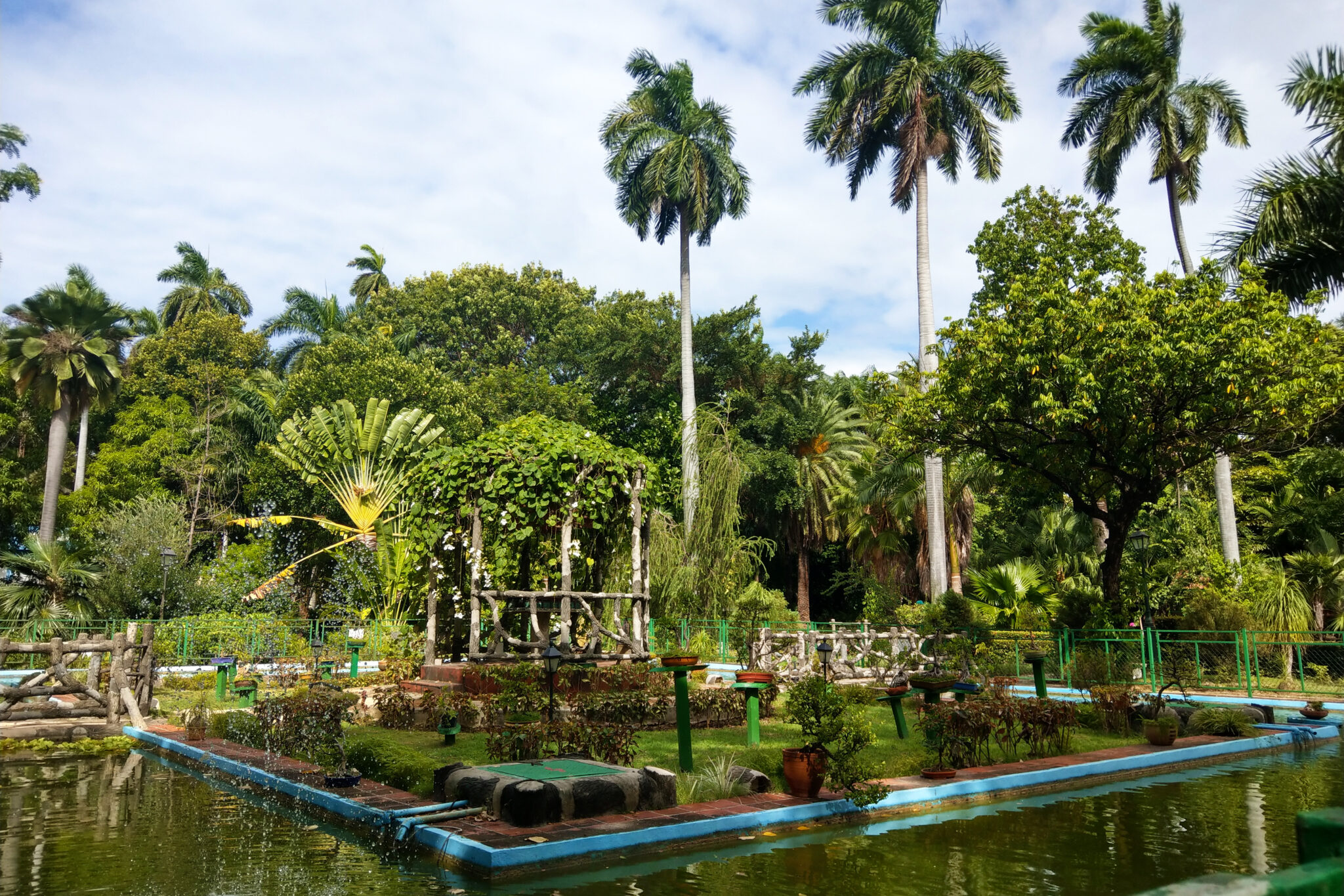 Lush garden at Quinta de los Molinos, featuring palm trees, greenery, and a tranquil pond under a blue sky.