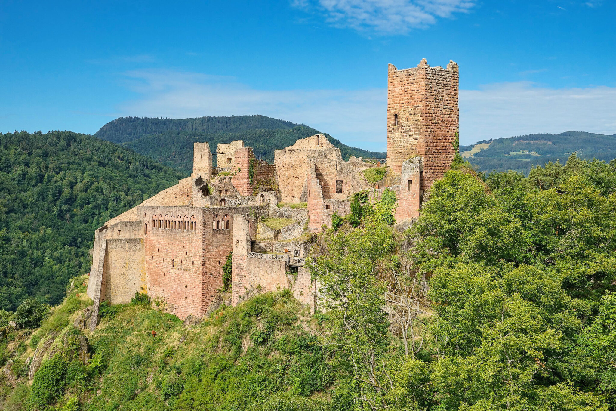 Ruins of Château du Saint-Ulrich in Ribeauvillé, surrounded by greenery and mountains under a clear blue sky.