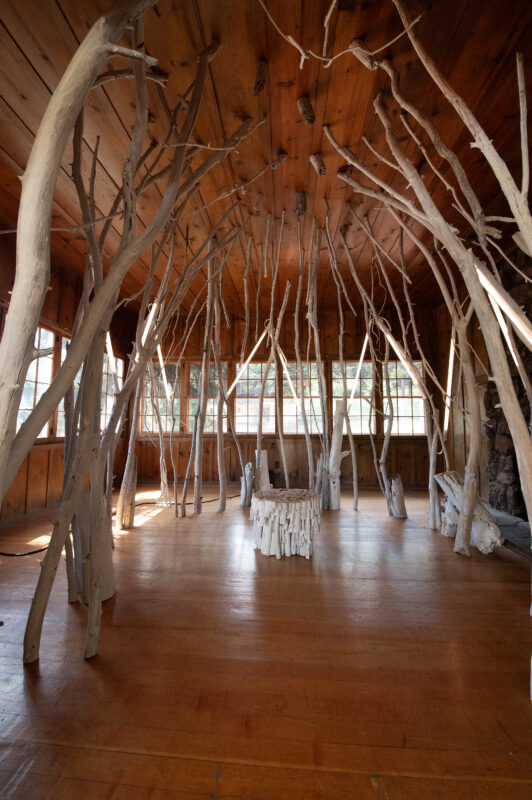 Interior of a wooden space featuring tall, slender tree branches arranged artistically, with a wooden floor and large wind...