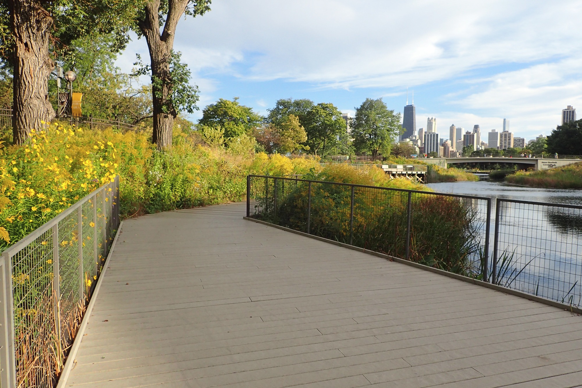 Pathway lined with wildflowers alongside a river, with Chicago skyline visible in the background.