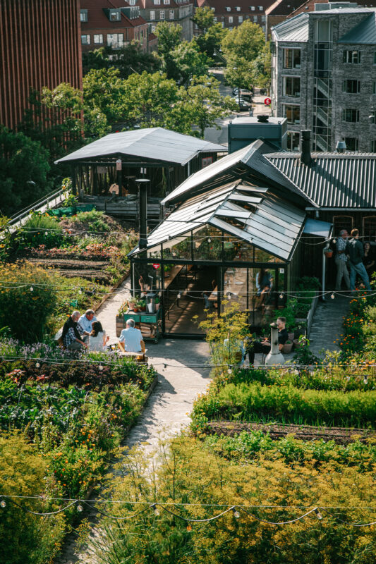 Lush garden with a glass-roofed building, people dining and socializing, surrounded by greenery at ØsterGro Gro spiseri.
