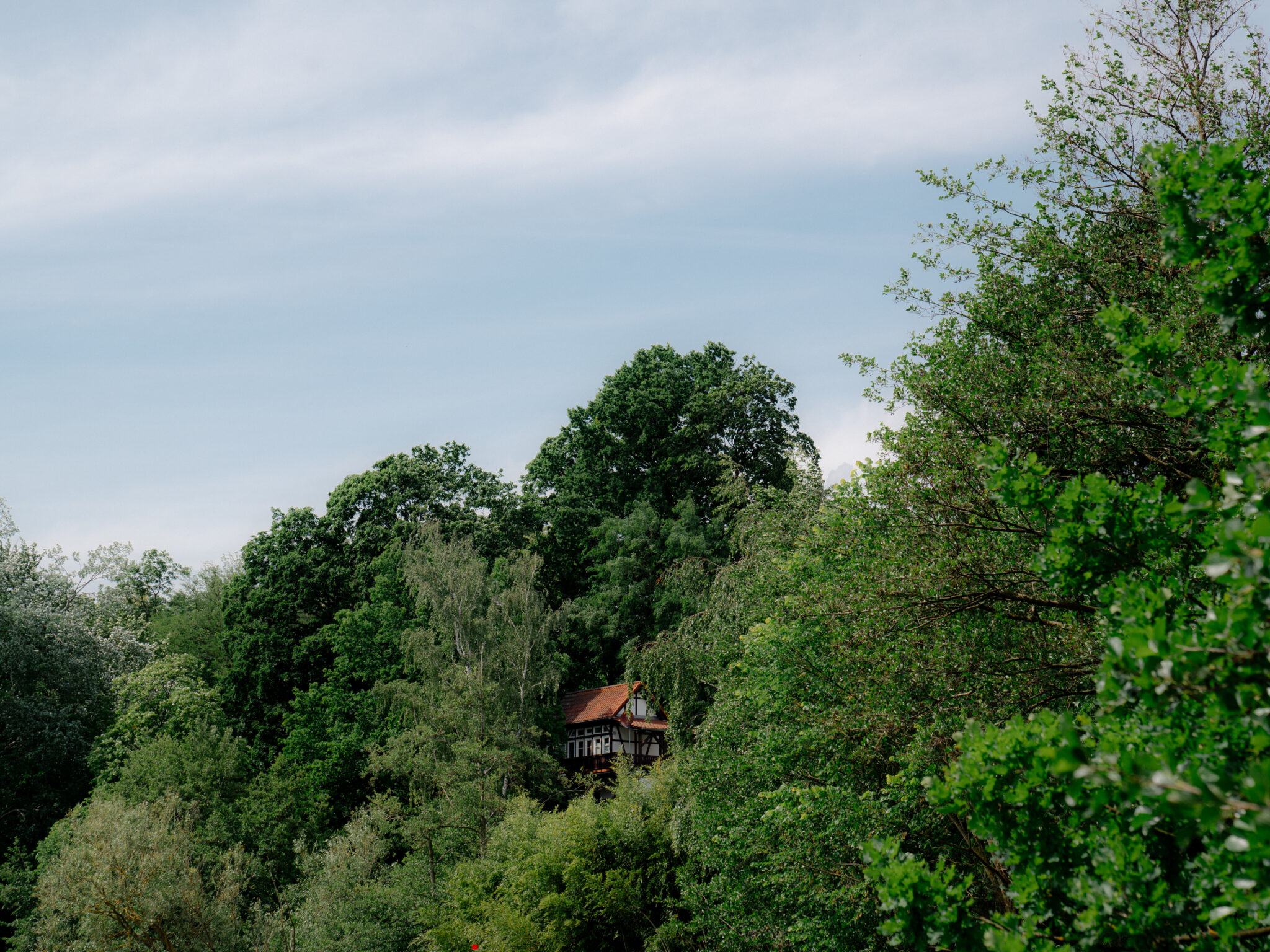 A small house with a red roof nestled among lush green trees under a blue sky.