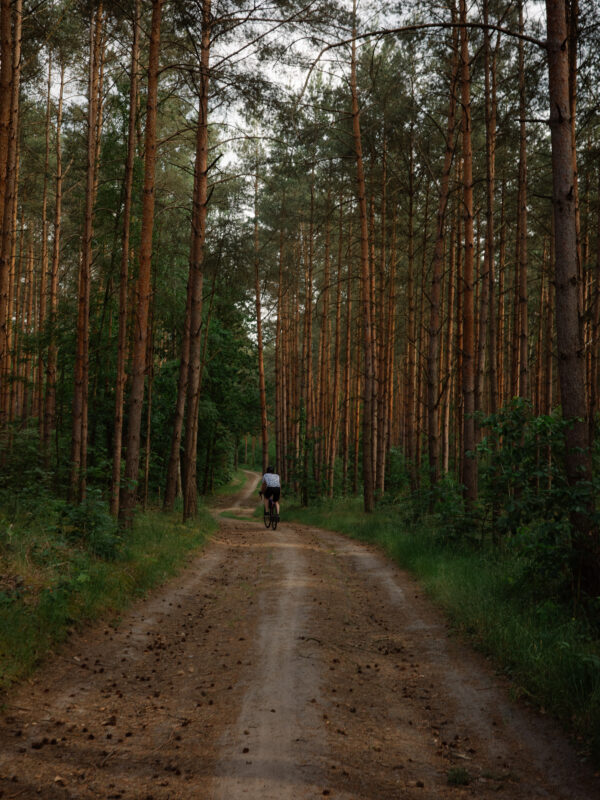 A cyclist rides along a dirt path through a dense pine forest, with tall trees lining both sides.