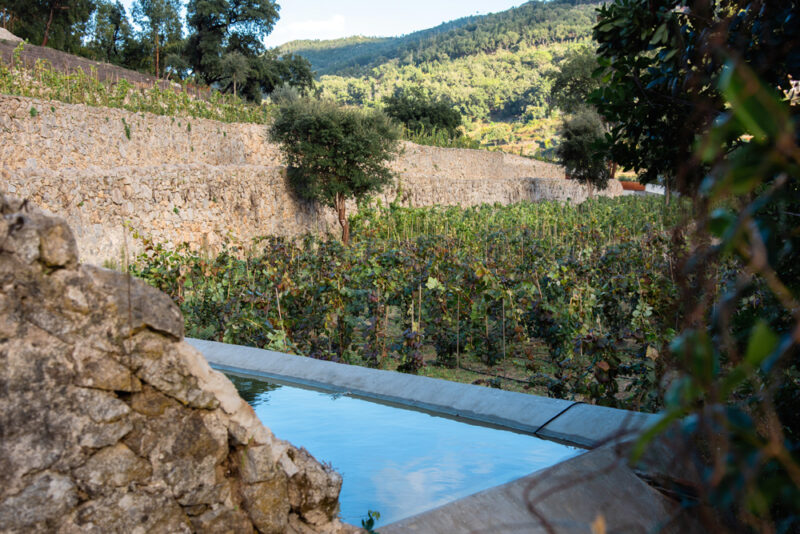 Vineyard with stone walls and a reflecting pool, set against a mountainous landscape in The Granite House context.