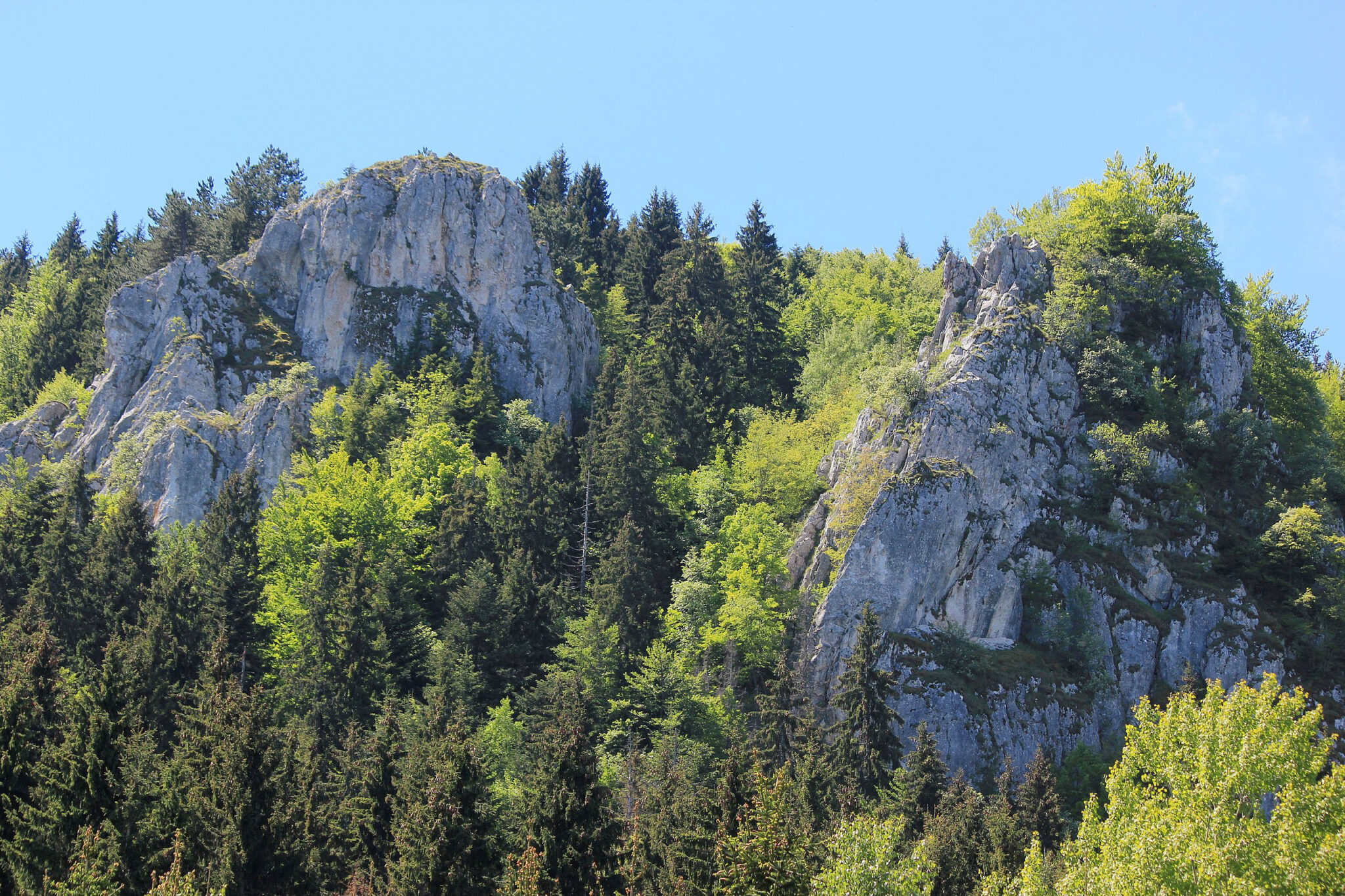 Rock formations atop a forested hillside, with lush greenery and a clear blue sky in the background.