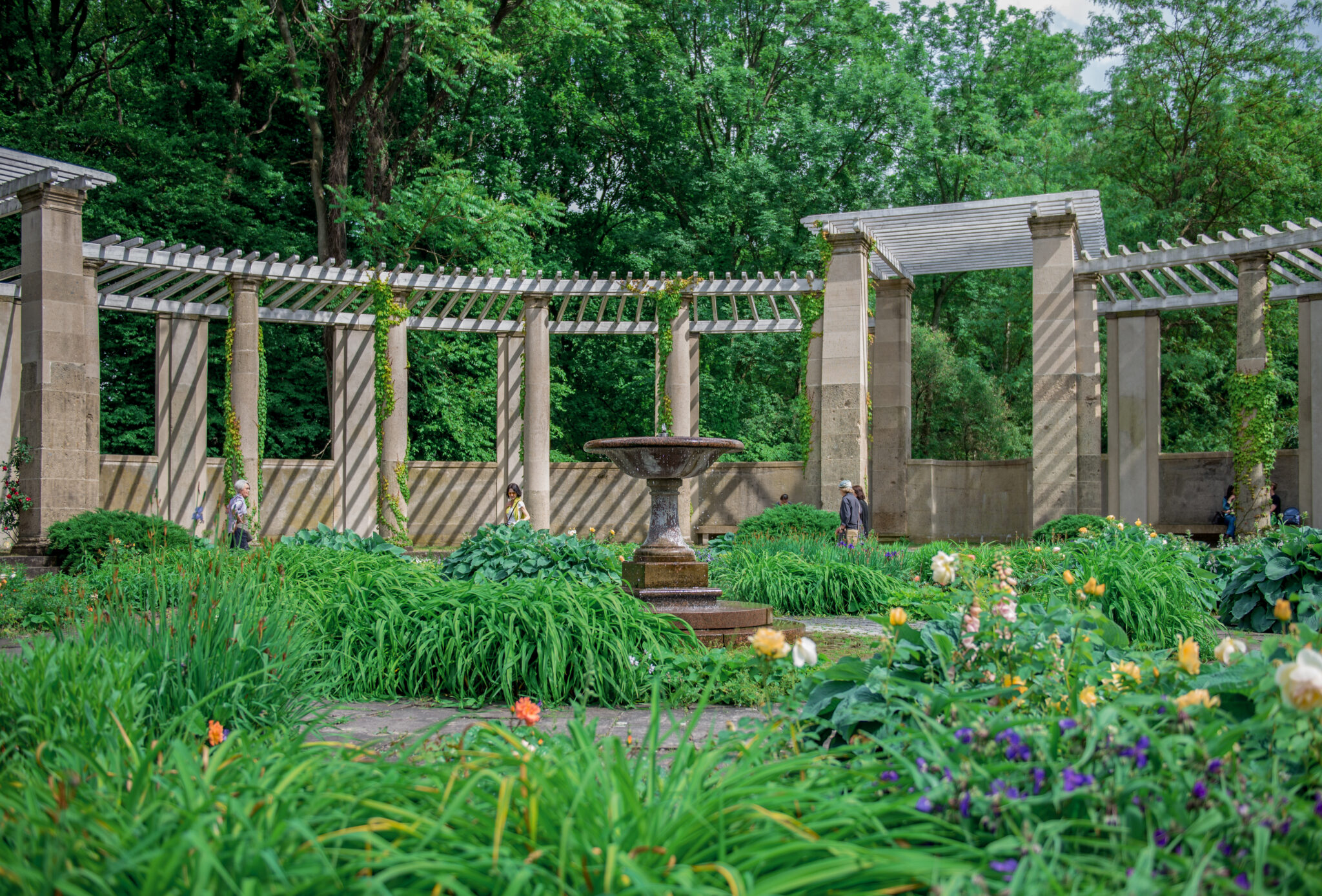 Lush garden with a fountain surrounded by greenery and stone columns in Berlin's Großer Tiergarten Rosengarten.