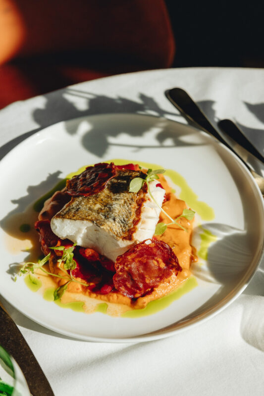 Grilled fish fillet atop a bed of chorizo and sauce, garnished with microgreens on a white plate.