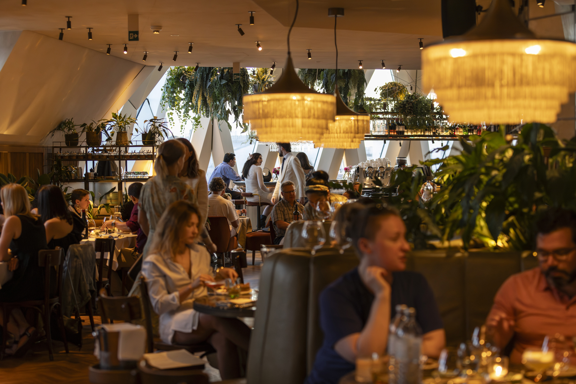 Lively restaurant interior with diners at tables, warm lighting, and greenery, creating a cozy atmosphere.