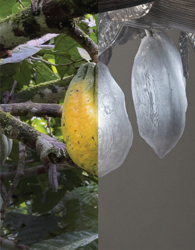 Cacao pod on a tree branch alongside a glass sculpture resembling a cacao pod, highlighting nature and art.