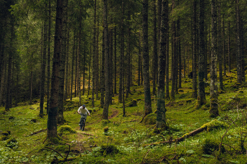 A cyclist rides through a lush, green forest with tall trees and moss-covered ground.