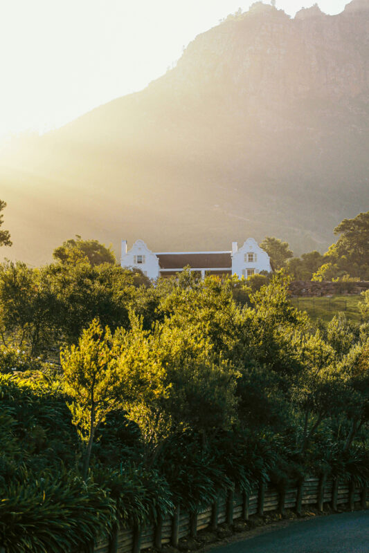 Sunlit white house surrounded by lush greenery, with a mountain backdrop in South Africa.