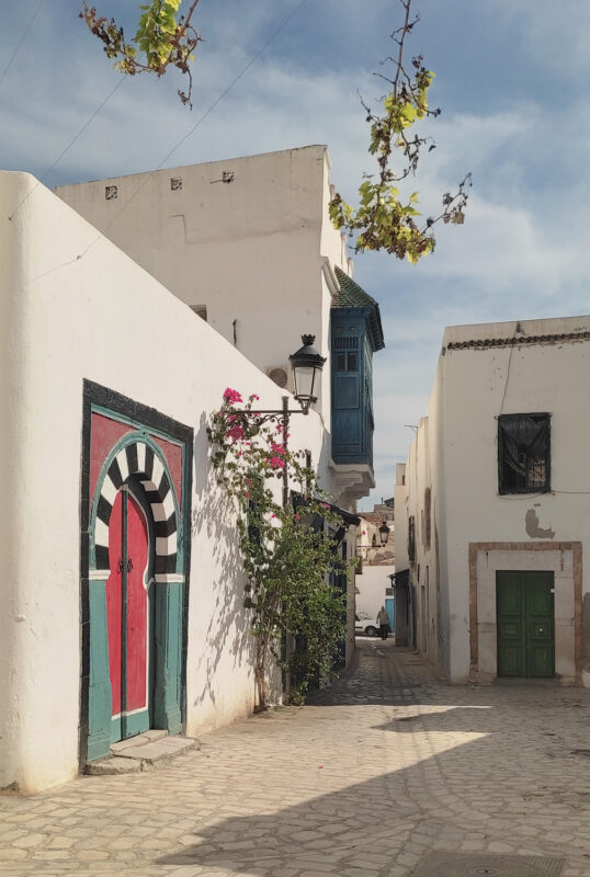 Narrow street in Tunis's Medina, featuring a colorful arched door, green door, and whitewashed buildings.