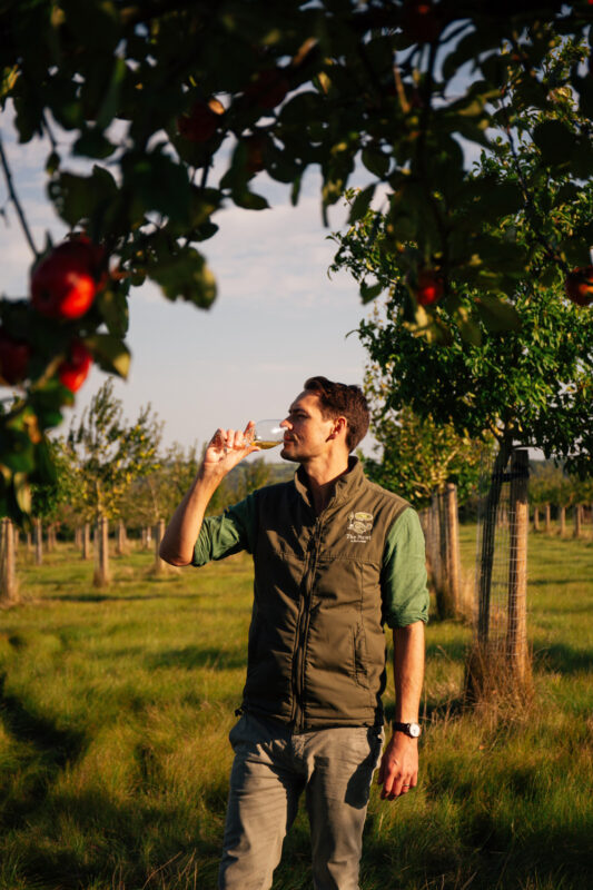 Man in a green vest drinking from a bottle, surrounded by apple trees in a sunny orchard.