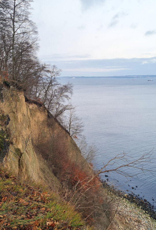 Cliffside view of the Hochuferweg, overlooking the calm water between Seelin and Binz, with sparse trees and rocky shoreline.