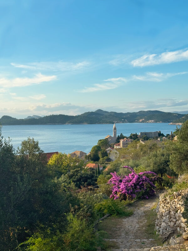 Scenic view of a coastal landscape with a path, vibrant purple flowers, and distant hills under a blue sky.