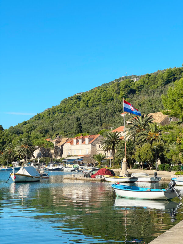 Calm harbor scene with boats, palm trees, and a Croatian flag, set against a hillside and clear blue sky.