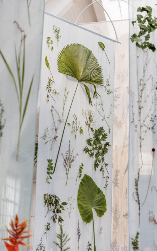 Botanical installation featuring pressed plants and leaves on translucent panels at Munich's Nymphenburg Botanical Garden.