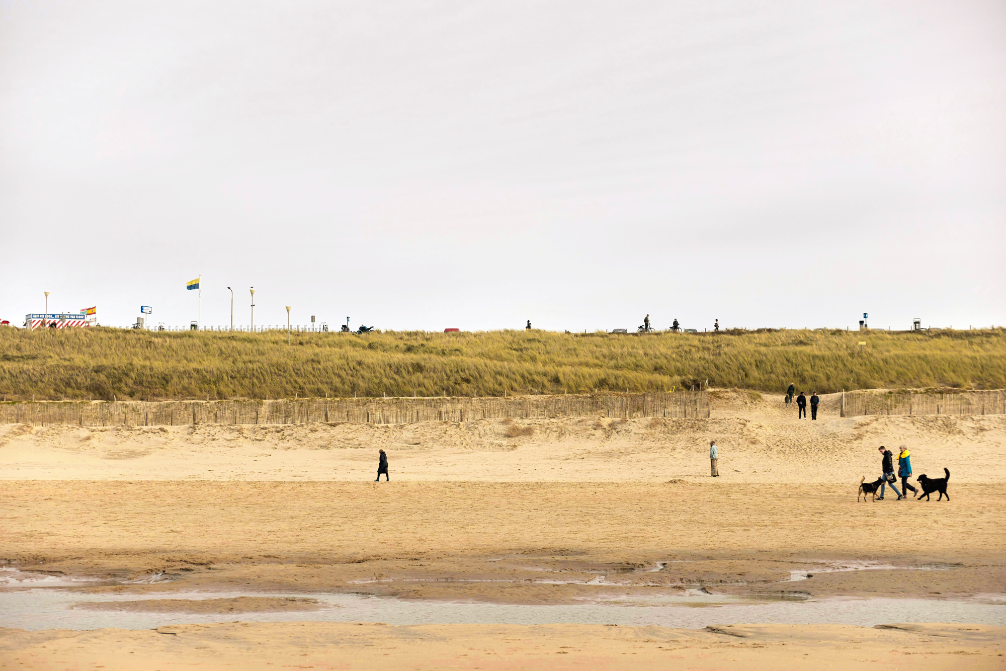 People walking dogs along a sandy beach with grassy dunes and a cloudy sky in the background.