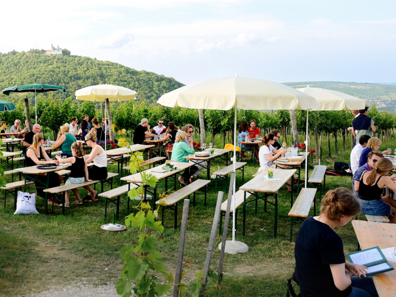 Outdoor dining scene in a vineyard with people at tables under yellow umbrellas, surrounded by green hills.