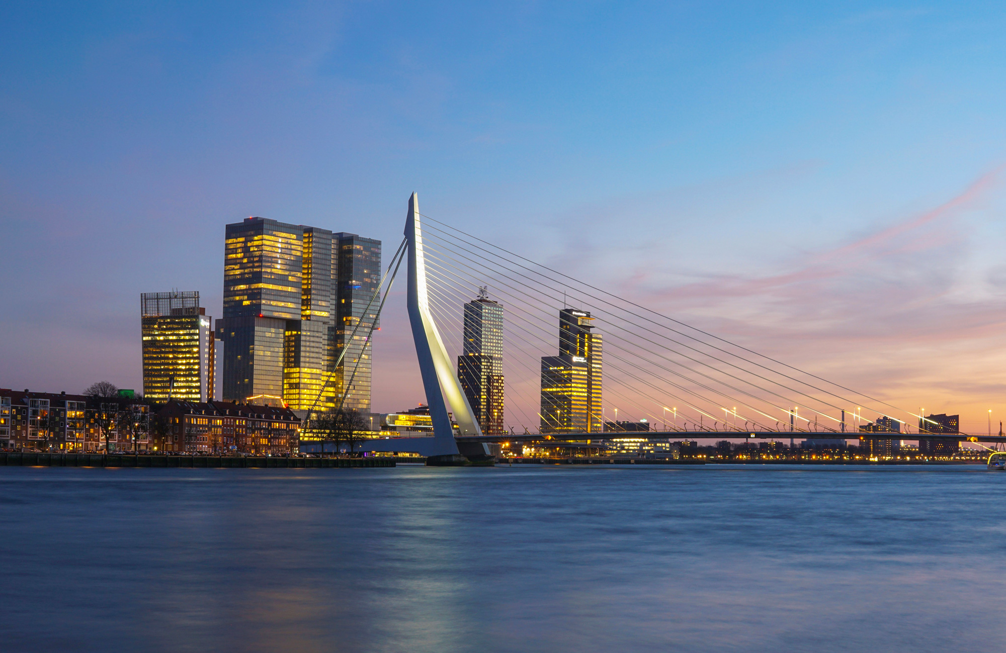 Rotterdam skyline at dusk featuring the Erasmus Bridge and illuminated skyscrapers along the waterfront.