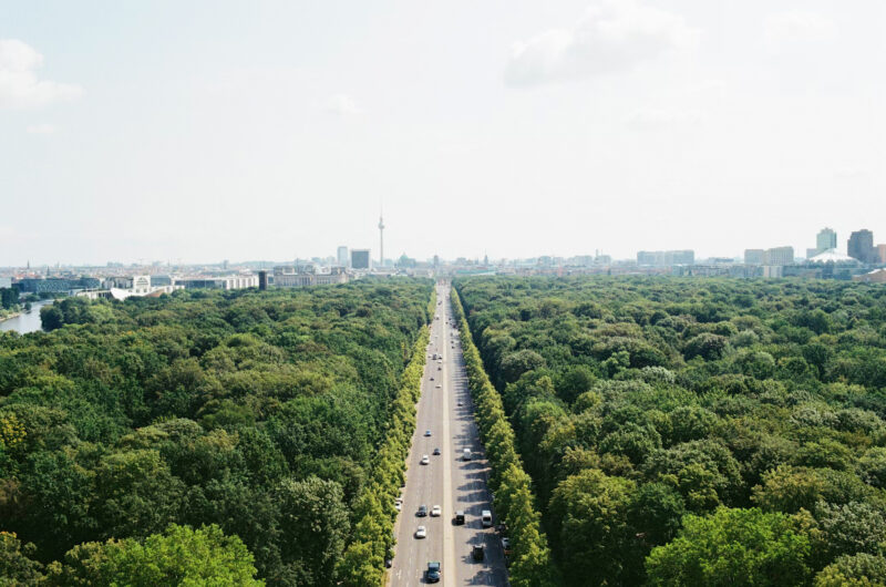Aerial view of a tree-lined road leading to a city skyline with buildings and a tower in the distance.