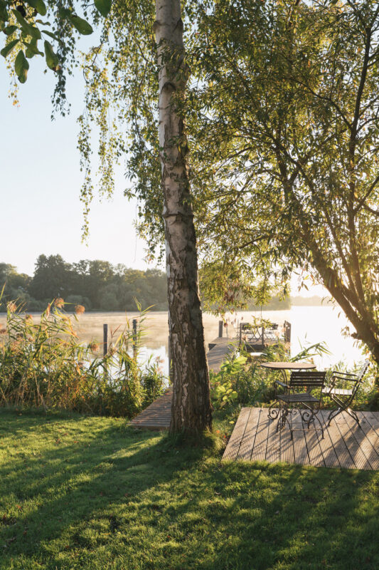 Morning light filters through trees by a misty river, with a wooden dock and benches visible in the foreground.