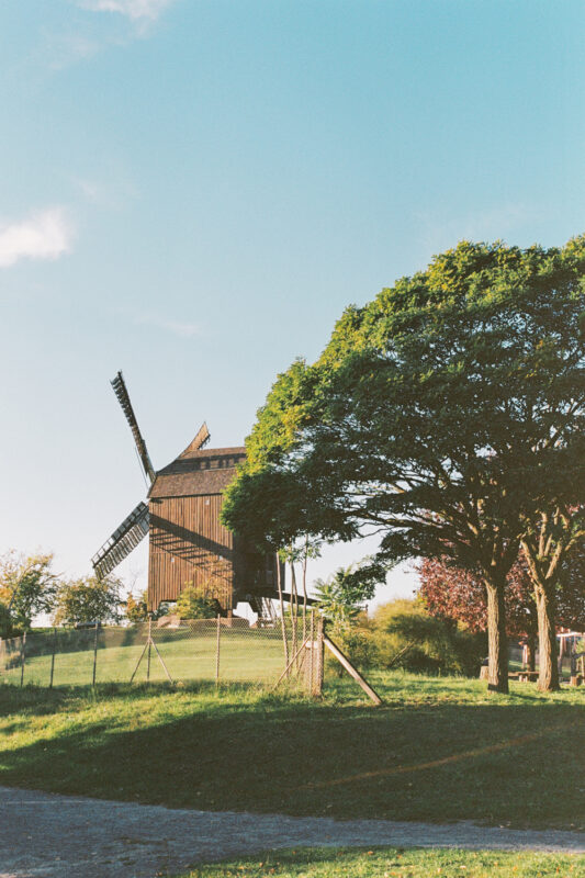 Historic windmill surrounded by trees under a clear blue sky, captured in the Bauhaus Garden, 1994.