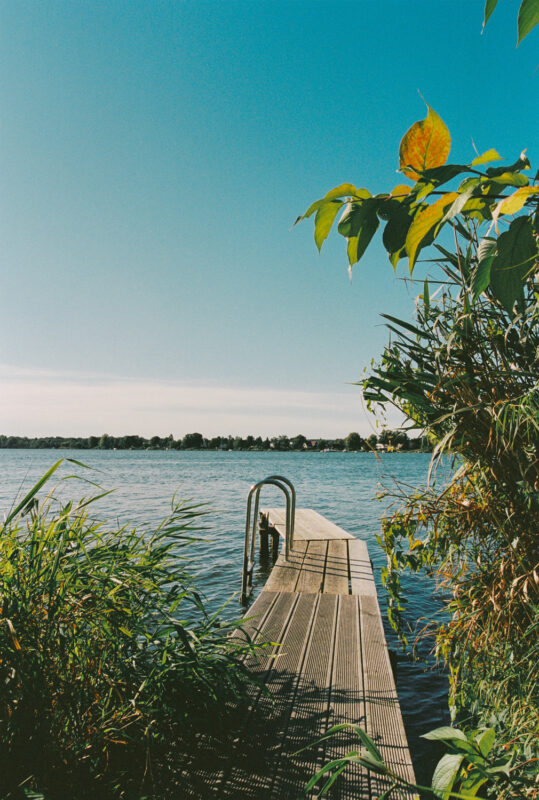 Wooden dock extending into a calm lake, surrounded by greenery and under a clear blue sky.