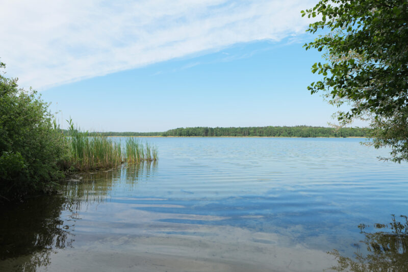 Calm waters of Großer Plessower See reflecting a clear blue sky, framed by lush greenery on the shore.