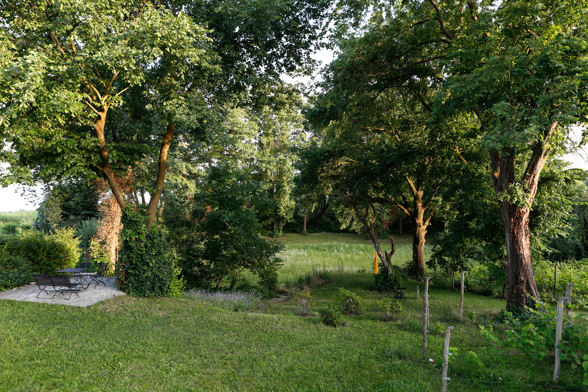 Lush green garden with trees and a seating area, captured at Haus am See in Werder.