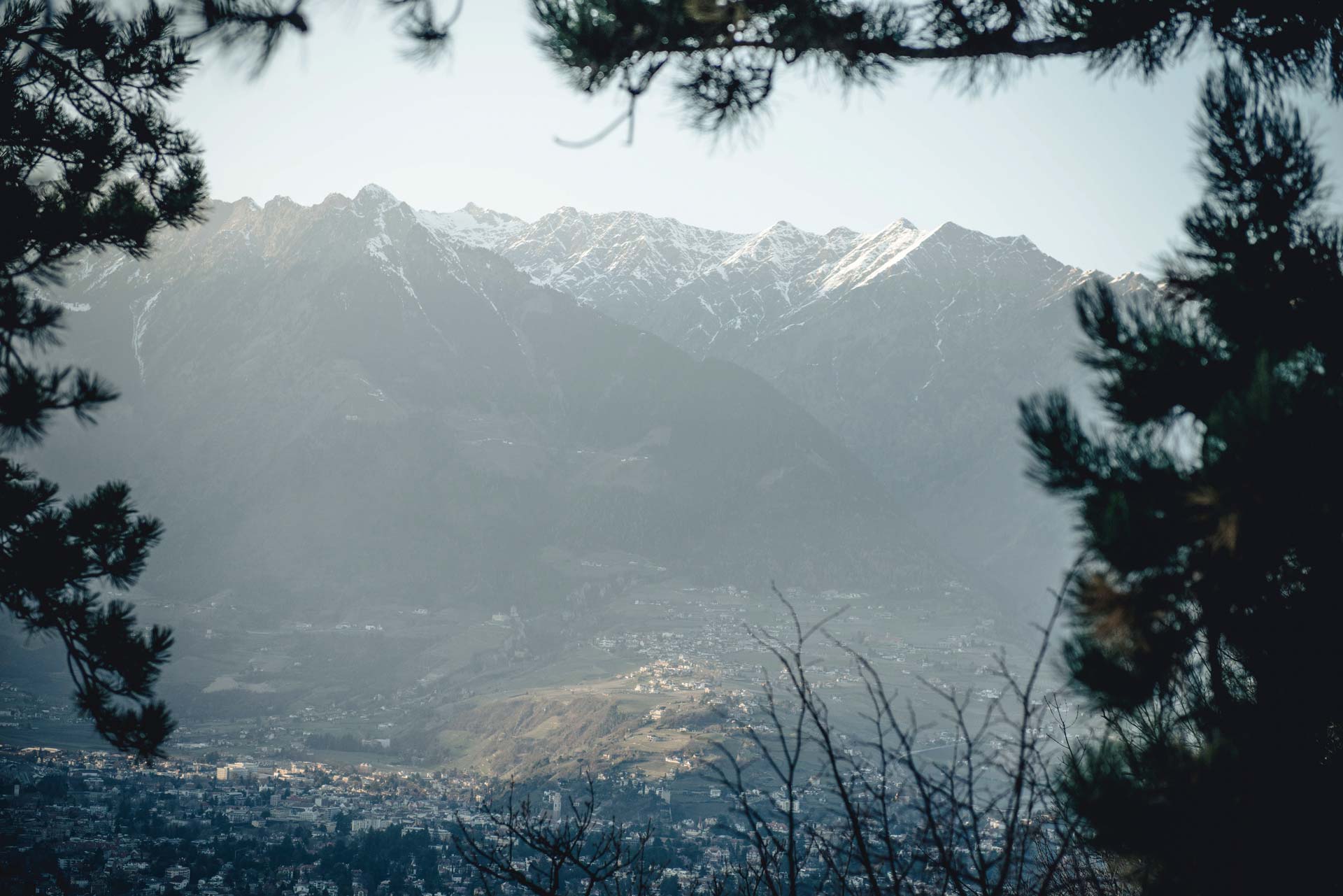 Mountain landscape with snow-capped peaks, framed by pine branches, overlooking a valley in South Tyrol.